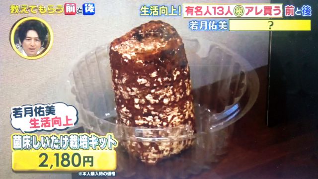 【教えてもらう前と後】有名人13人の生活向上アイテムまとめ｜マッサージガンから冷感抱き枕まで