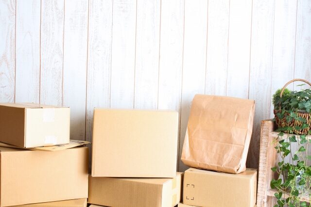 【沸騰ワード10】矢田亜希子コストコ2021春の新商品ベスト8｜オールインワン保湿フォーム・鼻うがいキット・窓用クリーナー・布団圧縮袋・フタ付きスタッキングボウルなど