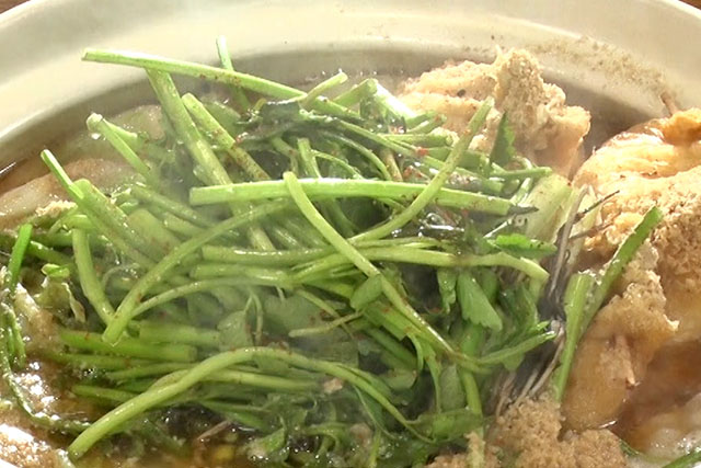 【シューイチ】鍋レシピバズり飯-1GPまとめ 料理インフルエンサー対決