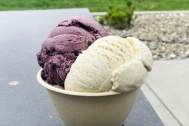 【ざわつく金曜日】アイスジェラートミルク(松ぼっくり雫石町)通販お取り寄せ