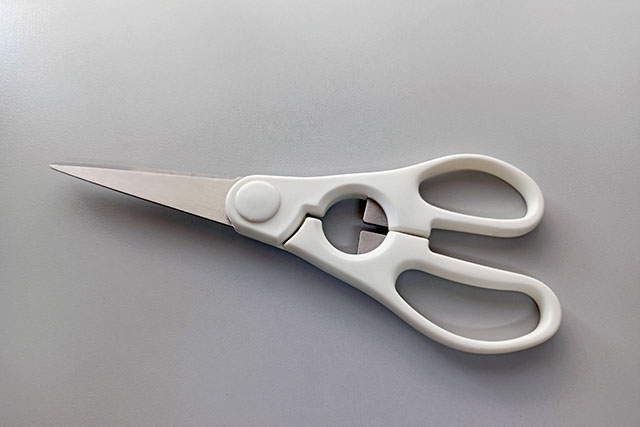 【所さんお届けモノです】キッチンバサミかっぱ橋『ムテキバサミ』鶏肉の皮もスパスパ切れる