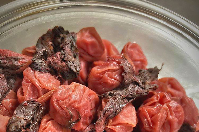 【きょうの料理】基本の梅干しのレシピ 本田明子さん梅干し料理