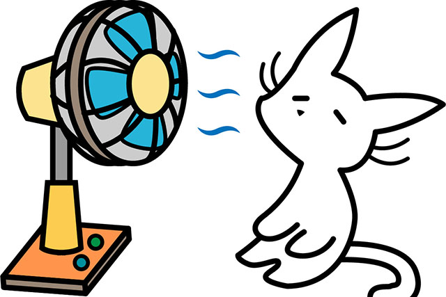 【ゴゴスマ】猛暑を乗り切るひえひえ家電 家電ライター厳選ひんやりグッズ