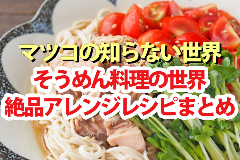 【マツコの知らない世界】そうめんアレンジレシピまとめ 日坂春奈そうめん料理の世界