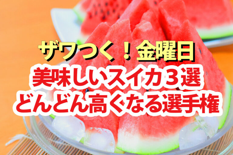 【ざわつく金曜日】スイカ3選の値段どんどん高くなる選手権通販お取り寄せ