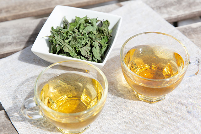 【DayDay】スーパーペパーミントティーのレシピ(便秘解消)大腸の砂漠化を防ぐ腸活ドリンク