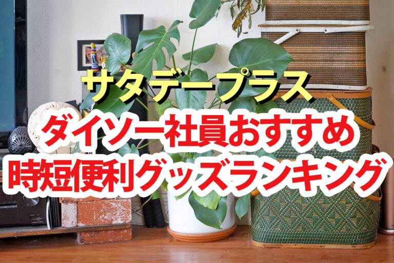 【サタプラ】ダイソー社員おすすめ夏の時短便利グッズランキング2025