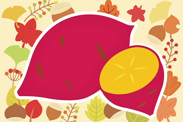 【ZIP】さつまいもレシピBEST4道の駅のさつまいも好きおすすめ