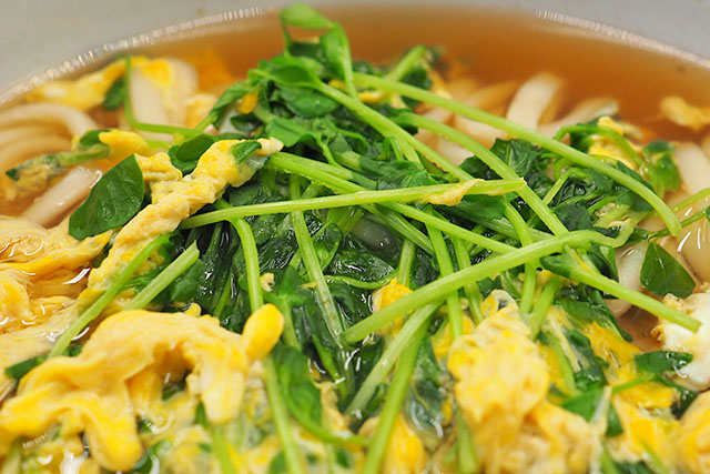 【DAIGOも台所】豆苗うどんのレシピ 山本ゆりさんの簡単料理