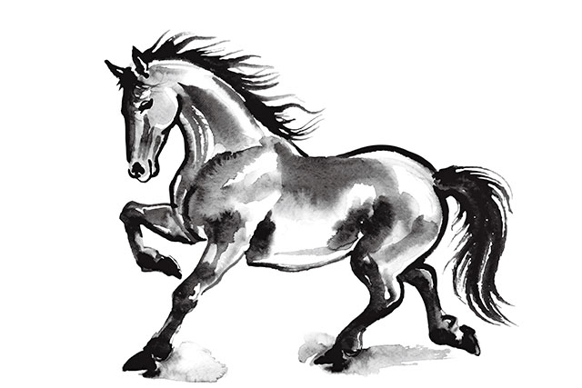 【ゴゴスマ】占い2026運勢ランキング干支×血液型で水晶玉子が占う1位～48位の結果