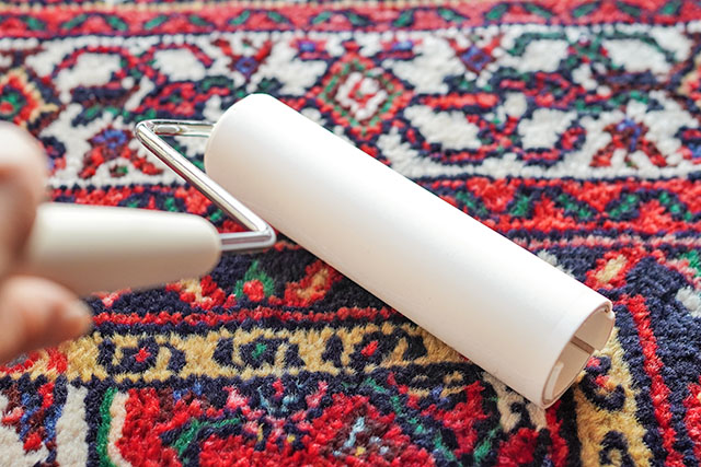 【サタプラ】粘着クリーナーひたすら試してランキング2026ベスト5