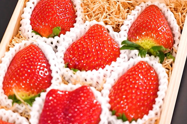 【ざわつく金曜日】いちご武蔵極『美作農園』10万粒に1粒の苺